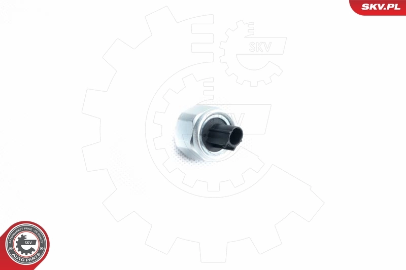 Knock Sensor